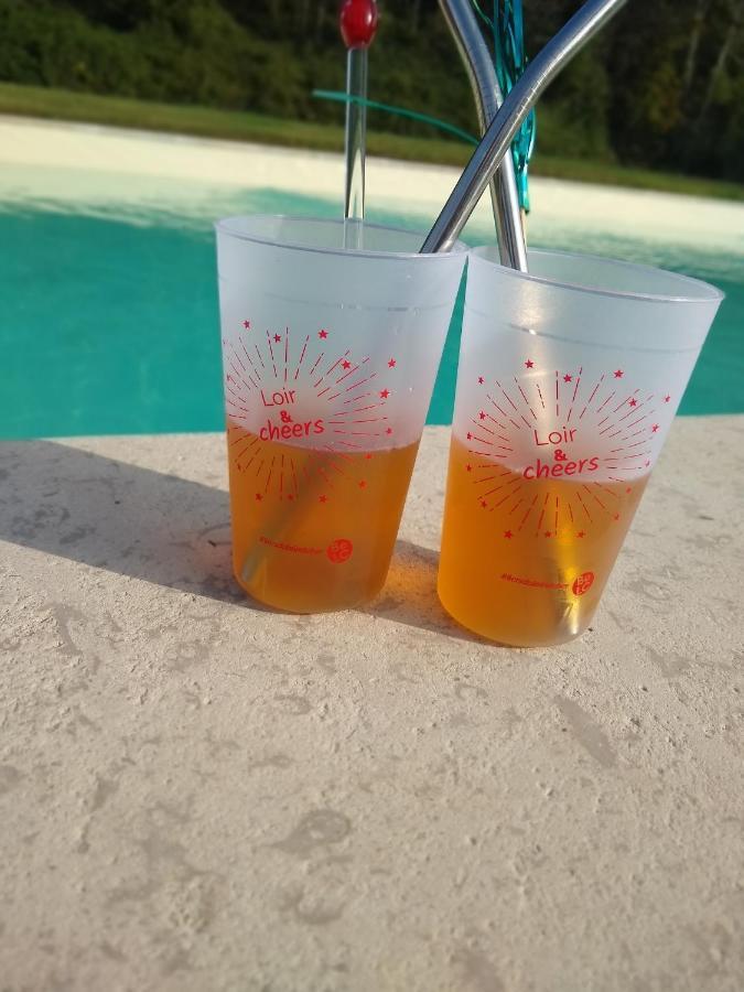הוילה Lunay Domaine De La Vaudouriere מראה חיצוני תמונה